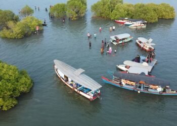 Hot Walk on the Lake| Wonders of Kerala Sambranikodi Island
