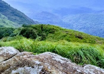 Ponmudi journey for just 79 rupees..!!| Ponmudi KSRTC Bus Yatra