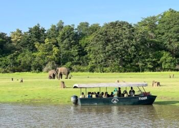 Kabini Boat Safari | JLR Package | Elephant Special Story
