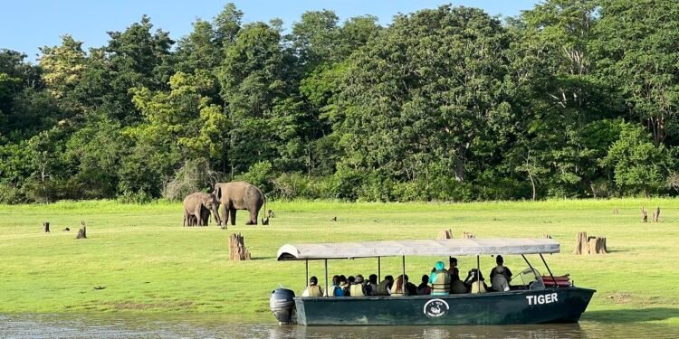 Kabini Boat Safari | JLR Package | Elephant Special Story