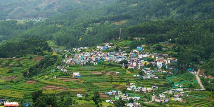 Vattavada | The fruit village of Kerala 14 Vattavada | The fruit village of Kerala