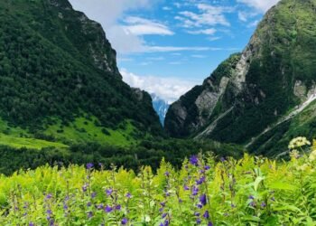 Uttarakhand Odyssey: Unveiling Enchantments Beyond Hills and Valleys