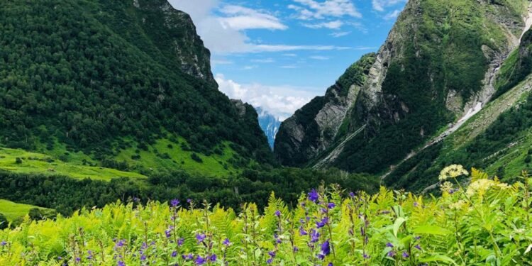 Uttarakhand Odyssey: Unveiling Enchantments Beyond Hills and Valleys 14 Uttarakhand Odyssey: Unveiling Enchantments Beyond Hills and Valleys