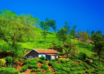 Coonoor to Ooty Toy Train Experience | Nilgiri Mountain Railway
