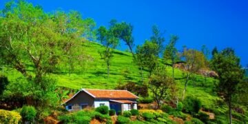 Coonoor to Ooty Toy Train Experience | Nilgiri Mountain Railway