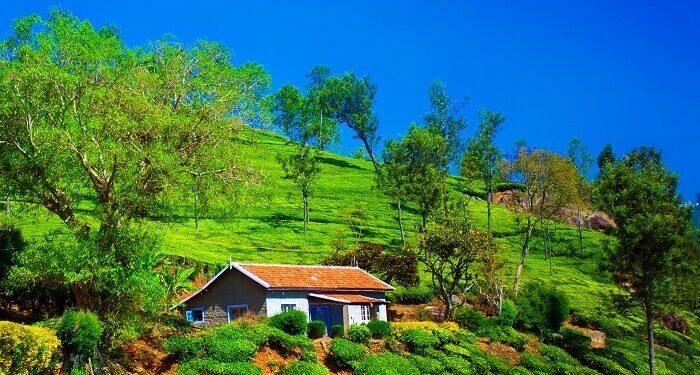 Coonoor to Ooty Toy Train Experience | Nilgiri Mountain Railway