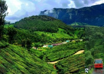 A KSRTC BUS JOURNEY THROUGH THE JUNGLE | Budget friendly trip to Malaccapara