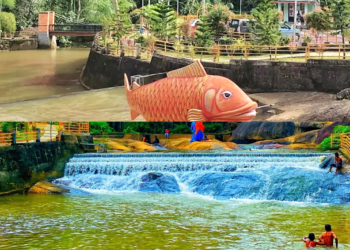 meenpidipara | meenpidipara waterfalls in kottarakkara