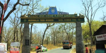 Mudumalai Tiger Reserve, Tamilnadu | A Forest for Animal
