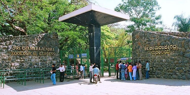 MYSORE ZOO | One of the oldest and best zoo in India 14 MYSORE ZOO | One of the oldest and best zoo in India