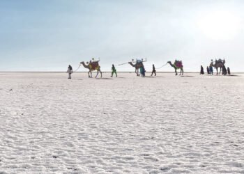 Unveiling the Enchantment: Exploring the Wonders of India's Rann of Kutch