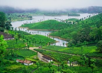 Road Trip to Valparai through Athirappilly Forest.
