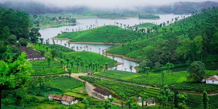 Road Trip to Valparai through Athirappilly Forest. 14 Road Trip to Valparai through Athirappilly Forest.