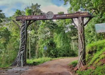 Bhadra Tiger Reserve | Lakkavalli Forest Safari