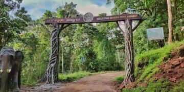 Bhadra Tiger Reserve | Lakkavalli Forest Safari