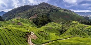 Coorg Tour Plan | Coorg Travel Guide | Coorg Travel Map | Coorg Itinerary