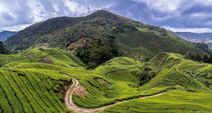 Coorg Tour Plan | Coorg Travel Guide | Coorg Travel Map | Coorg Itinerary