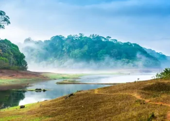 Gavi Forest Package | Forest Trekking | Jeep Safari | Boating.