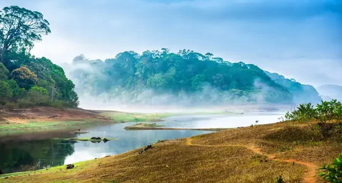 Gavi Forest Package | Forest Trekking | Jeep Safari | Boating.