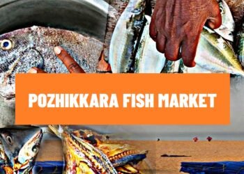 pozhikkara fish market in kollam | paravoor pozhikkara