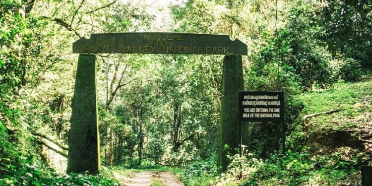 Silent Valley Rain forest | Beauty of Attapady